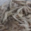 High-quality dried anchovies with a clean silver sheen, professionally preserved for premium frozen seafood and pantry supply.