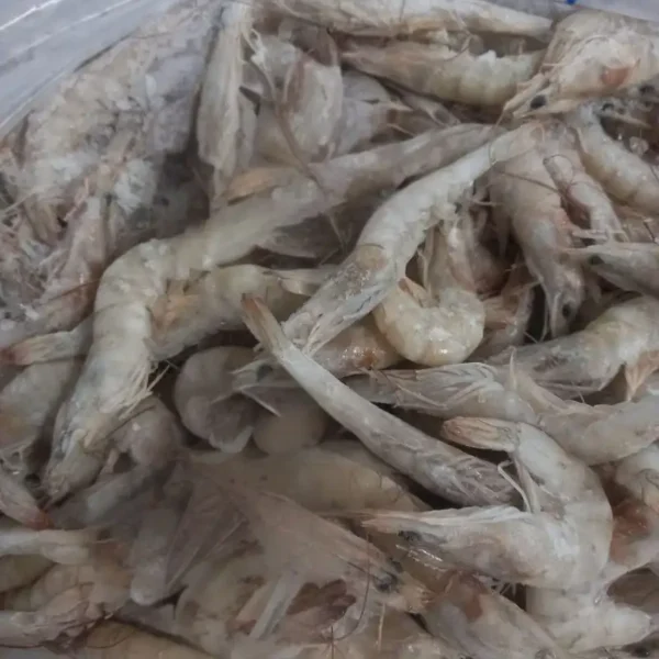 High-quality dried anchovies with a clean silver sheen, professionally preserved for premium frozen seafood and pantry supply.