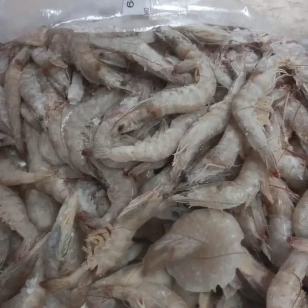 High-quality dried anchovies with a clean silver sheen, professionally preserved for premium frozen seafood and pantry supply.