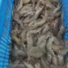 High-quality dried anchovies with a clean silver sheen, professionally preserved for premium frozen seafood and pantry supply.