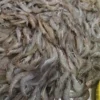 High-quality dried anchovies with a clean silver sheen, professionally preserved for premium frozen seafood and pantry supply.