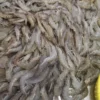 High-quality dried anchovies with a clean silver sheen, professionally preserved for premium frozen seafood and pantry supply.