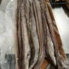Long, slender frozen eels with smooth silver and brown skin neatly arranged in a vacuum-sealed tray for premium frozen seafood.