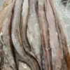 Detailed view of high-grade frozen eels prepared for culinary use, representing top-tier frozen seafood standards.