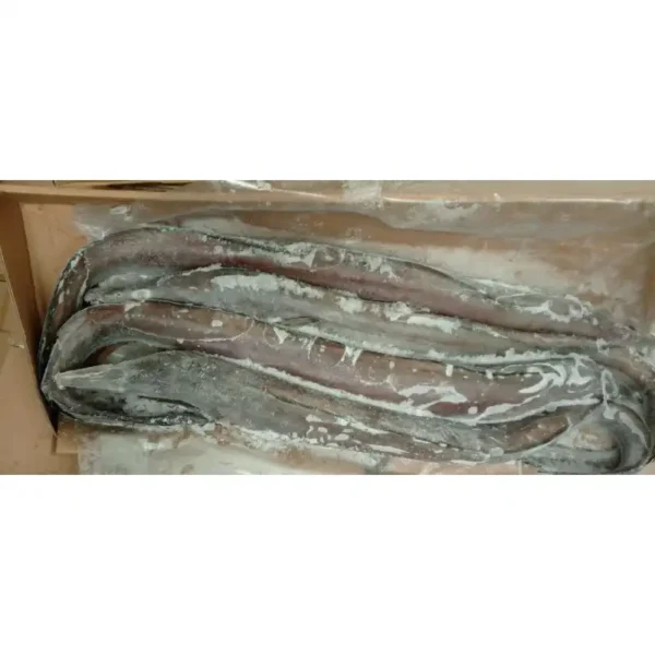 Whole frozen eels with smooth skin and elongated bodies packed in a transport box, ready for premium frozen seafood distribution.