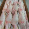 Premium frozen JTB fish with characteristic pink-silver scales and yellow stripes, flash-frozen for high-quality frozen seafood retail.