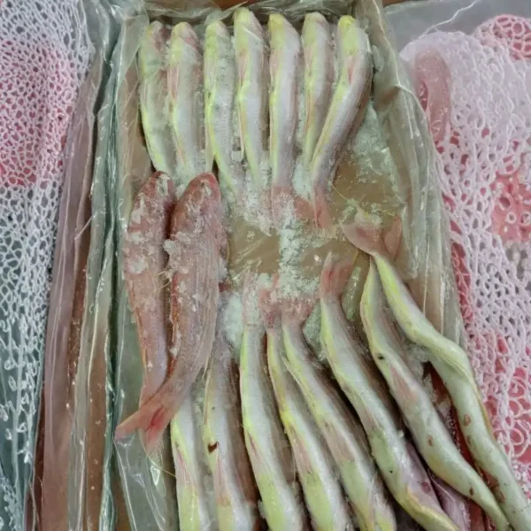 Premium frozen JTB fish with characteristic pink-silver scales and yellow stripes, flash-frozen for high-quality frozen seafood retail.