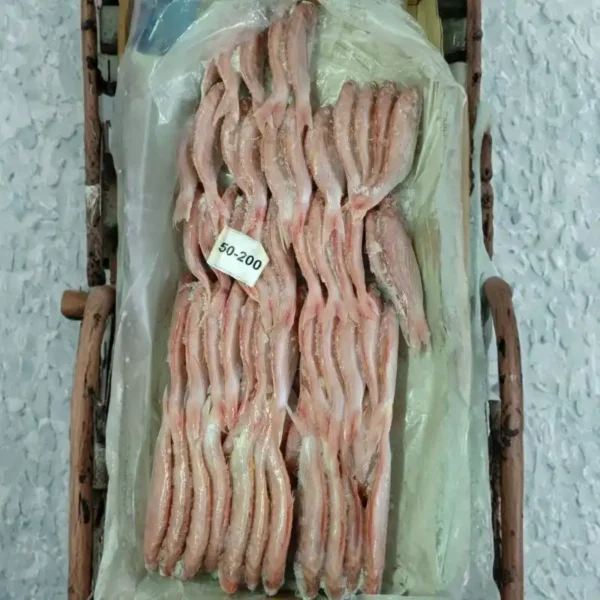 Premium frozen JTB fish with characteristic pink-silver scales and yellow stripes, flash-frozen for high-quality frozen seafood retail.