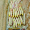Premium frozen JTB fish with characteristic pink-silver scales and yellow stripes, flash-frozen for high-quality frozen seafood retail.