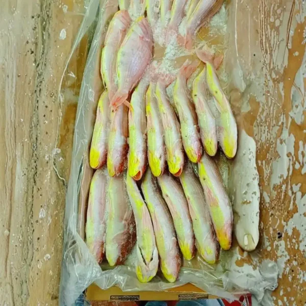Premium frozen JTB fish with characteristic pink-silver scales and yellow stripes, flash-frozen for high-quality frozen seafood retail.