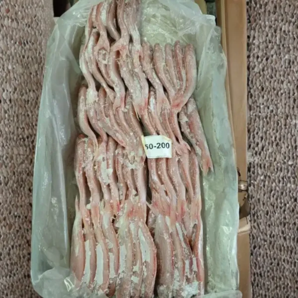 Premium frozen JTB fish with characteristic pink-silver scales and yellow stripes, flash-frozen for high-quality frozen seafood retail.