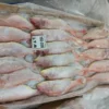 Premium frozen JTB fish with characteristic pink-silver scales and yellow stripes, flash-frozen for high-quality frozen seafood retail.