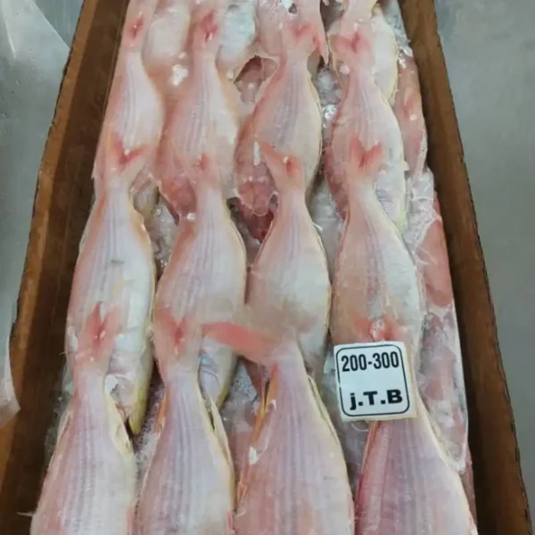 Premium frozen JTB fish with characteristic pink-silver scales and yellow stripes, flash-frozen for high-quality frozen seafood retail.
