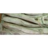 Slender frozen lizard fish with characteristic sharp teeth and silver-white scales, prepared for premium frozen seafood distribution.