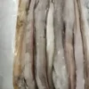 Frozen seafood supplier: premium quality whole frozen eel fish, bulk product for wholesale export.
