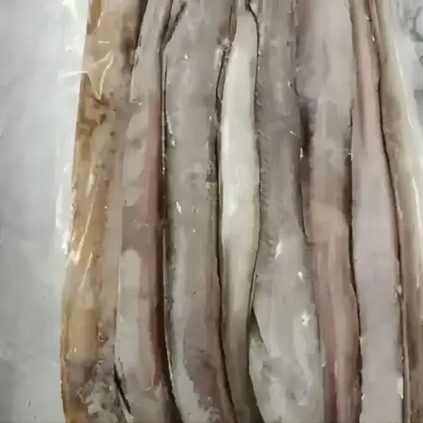 Frozen seafood supplier: premium quality whole frozen eel fish, bulk product for wholesale export.