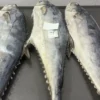 frozen queen fish with firm silver skin and distinct spots, professionally packed for high-quality frozen seafood distribution.