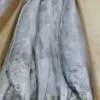 Premium ribbon fish with a distinct silver sheen layered in a bulk shipping box for the frozen seafood market.
