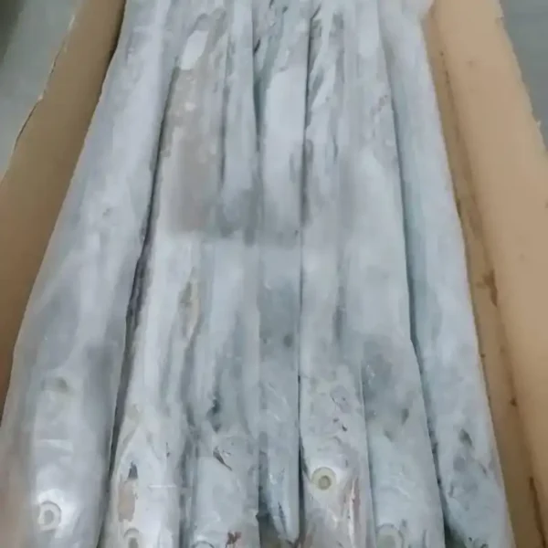 Premium ribbon fish with a distinct silver sheen layered in a bulk shipping box for the frozen seafood market.