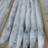 Premium ribbon fish with a distinct silver sheen layered in a bulk shipping box for the frozen seafood market.