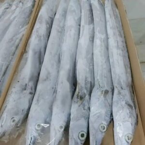 Detailed view of the metallic, scale-less skin of premium ribbon fish, a popular choice for frozen seafood exports.