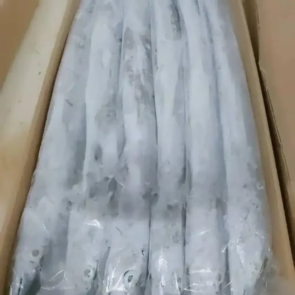Premium ribbon fish with a distinct silver sheen layered in a bulk shipping box for the frozen seafood market.
