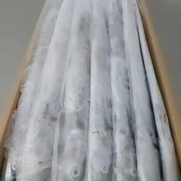 Premium ribbon fish with a distinct silver sheen layered in a bulk shipping box for the frozen seafood market.