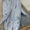Premium ribbon fish with a distinct silver sheen layered in a bulk shipping box for the frozen seafood market.