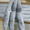 Premium ribbon fish with a distinct silver sheen layered in a bulk shipping box for the frozen seafood market.