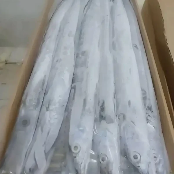 Premium ribbon fish with a distinct silver sheen layered in a bulk shipping box for the frozen seafood market.