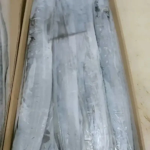 Premium ribbon fish with a distinct silver sheen layered in a bulk shipping box for the frozen seafood market.